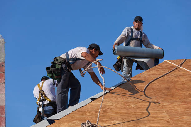 Roof Gutter Cleaning in Jennings, MO